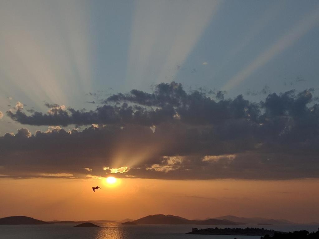 Apartman Rasip, Murter Dış mekan fotoğraf